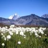 tour du mont blanc sauvage variantes chemins secrets