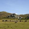 randonnee guidee trekking bagages transportes corse villages mer sentiers douaniers aiguilles bavella plateau coscionne rando détente